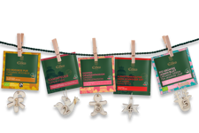 Tee Adventskalender 2025 - 25 Sorten